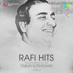Rafi Hits Instrumental By Tabun Sutradhar Vol. 2 - Feroz Khan Song Download